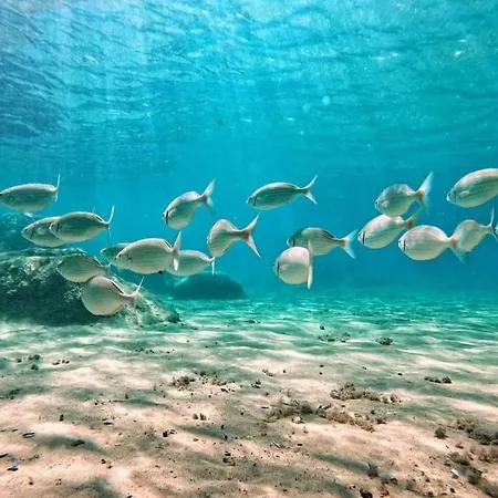 Mare Fuori Apartamento *