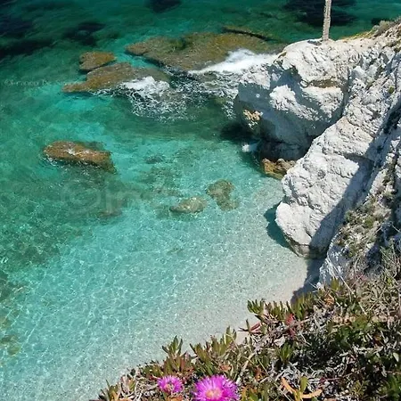 Mare Fuori *